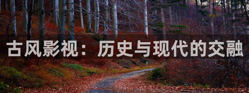 青丝电影在线：古风影视：历史与现代的交融