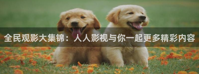 青丝影视在线全集观看：全民观影大集锦：人人影视与你一起更多精彩内容