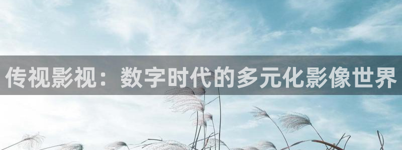 青丝影院免费观看高清完整版：传视影视：数字时代的多元化影像世界