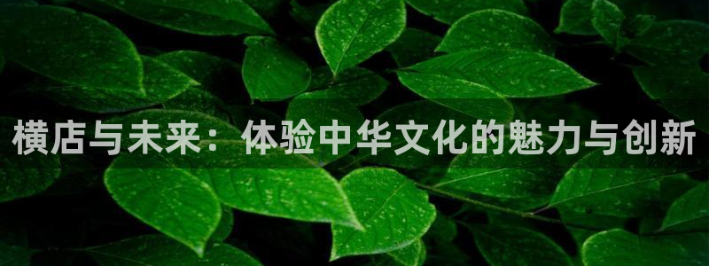 青丝影院最新电视剧免费播放：横店与未来：体验中华文化的魅力与创新