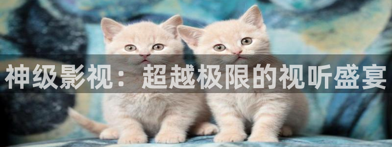 青丝影院电视剧在线观看全集：神级影视：超越极限的视听盛宴