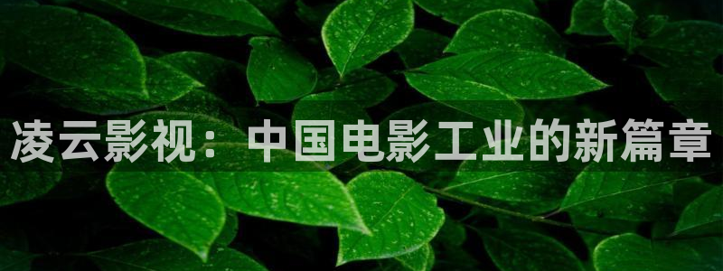 青丝影院电视剧在线观看全集：凌云影视：中国电影工业的新篇章