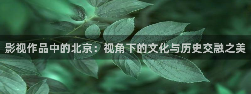 青丝影院最新电视剧免费播放：影视作品中的北京：视角下的文化与历史交融之美